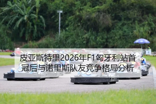 pi-ya-si-te-li-nian-xiong-ya-li-zhan-shou-guan-hou-yu-nuo-li-si-dui-you-jing-zheng-ge-ju-fen-xi-1-228.jpg